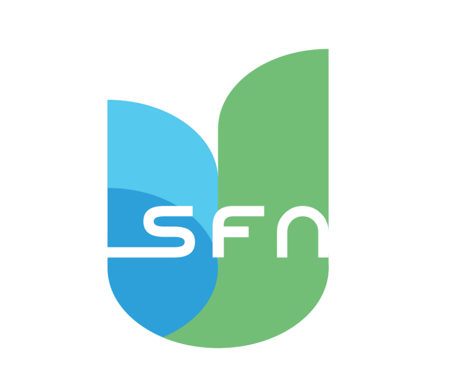 SFN Filtre